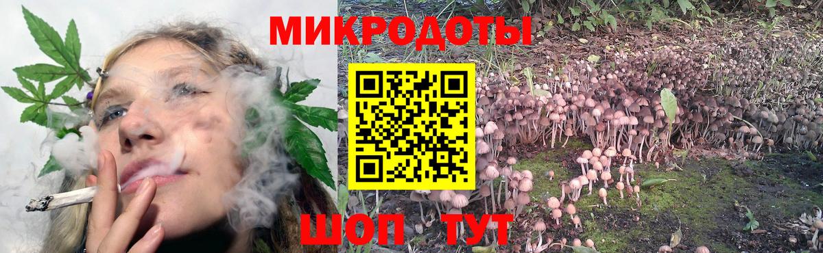 Галлюциногенные грибы Cubensis Кинешма