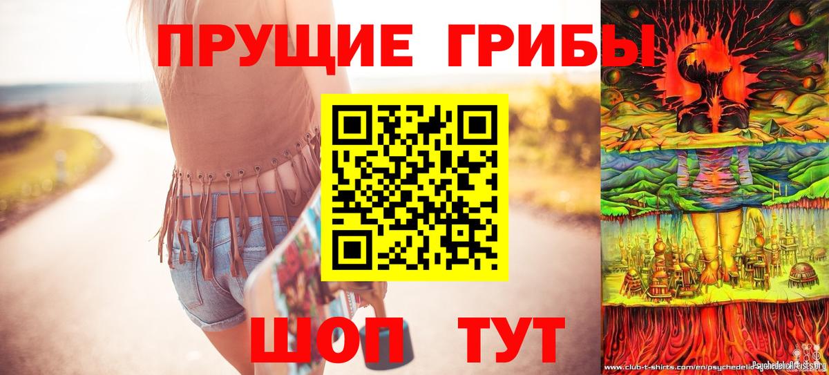 Кинешма  Псилоцибиновые грибы мицелий  Вход с VPN 